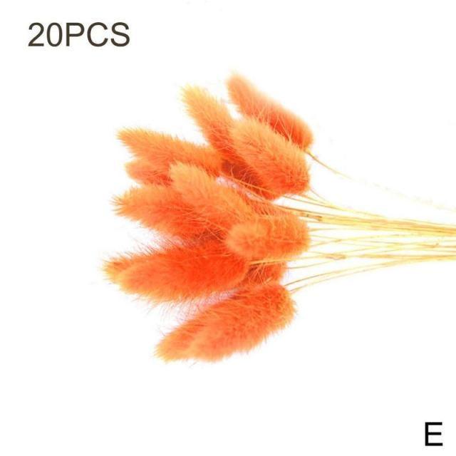 Dried Pampas Reed Bouquet
