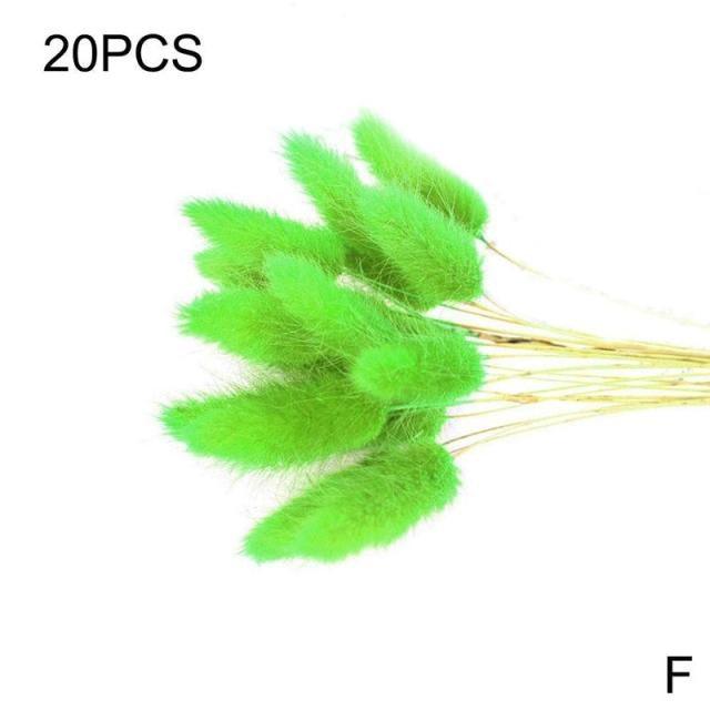 Dried Pampas Reed Bouquet