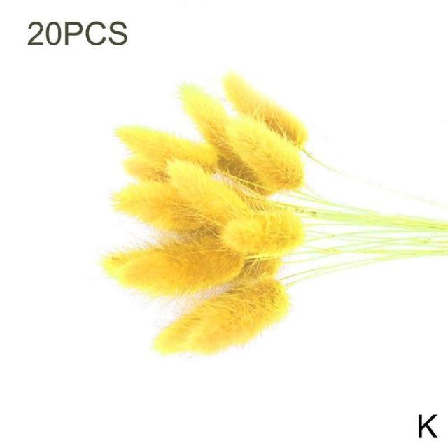 Dried Pampas Reed Bouquet