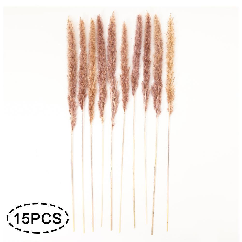 Dried Pampas Reed Bouquet
