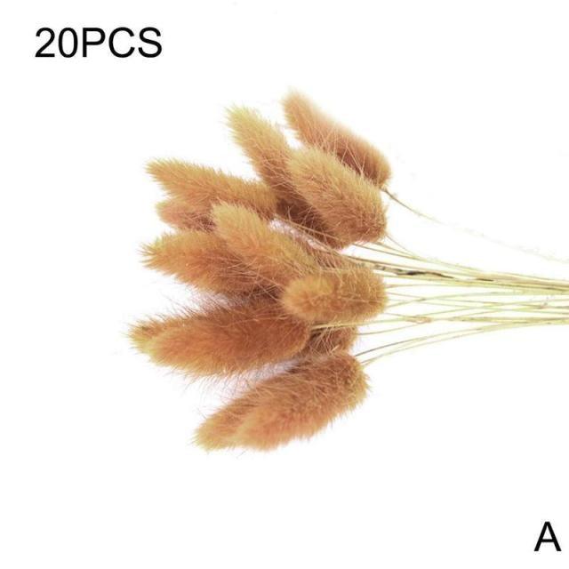 Dried Pampas Reed Bouquet