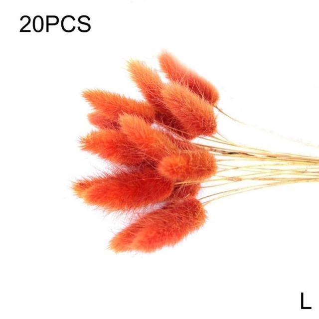 Dried Pampas Reed Bouquet
