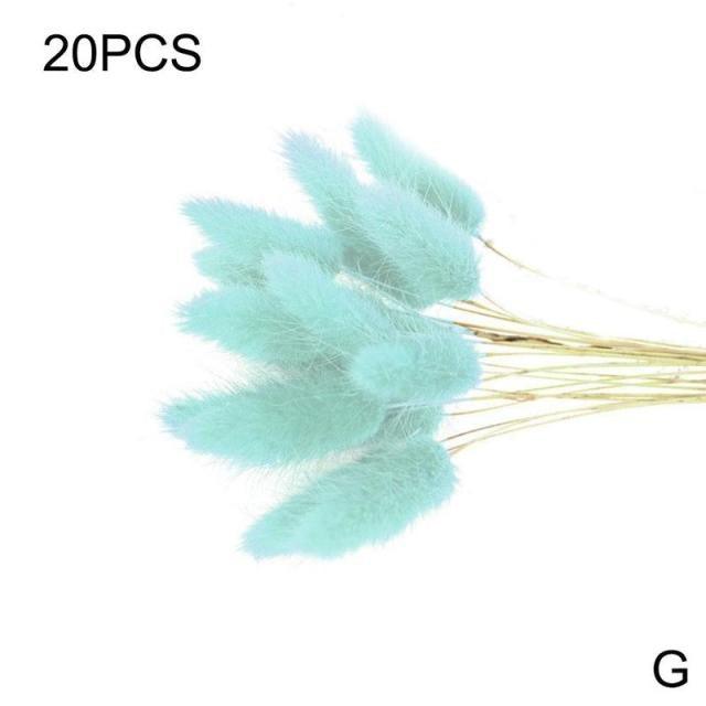 Dried Pampas Reed Bouquet