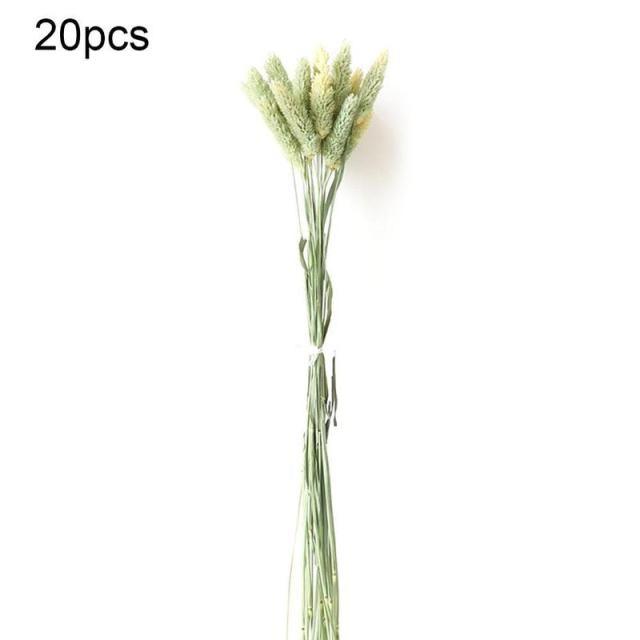 Dried Pampas Reed Bouquet