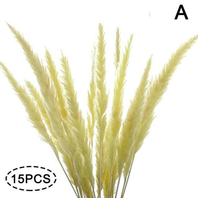 Dried Pampas Reed Bouquet