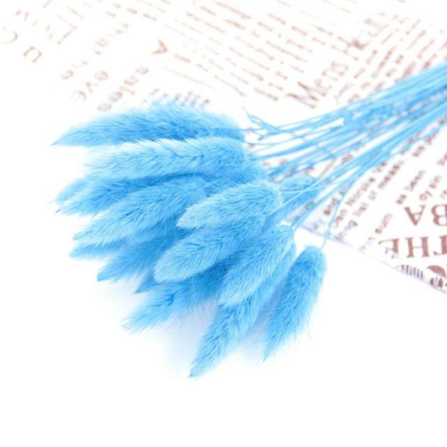 Dried Pampas Reed Bouquet