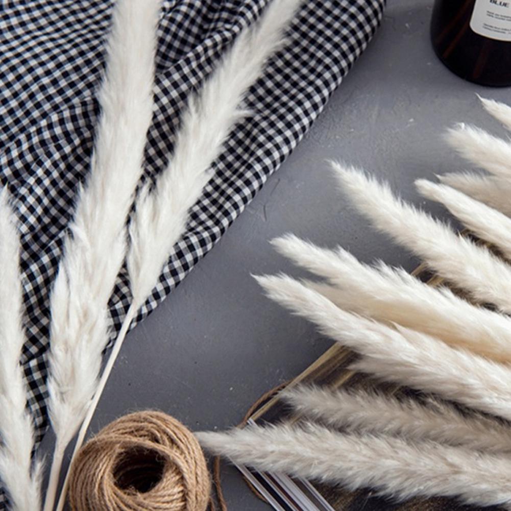 Dried Pampas Reed Bouquet