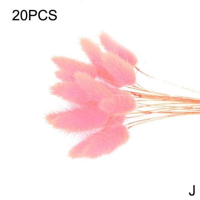 Dried Pampas Reed Bouquet