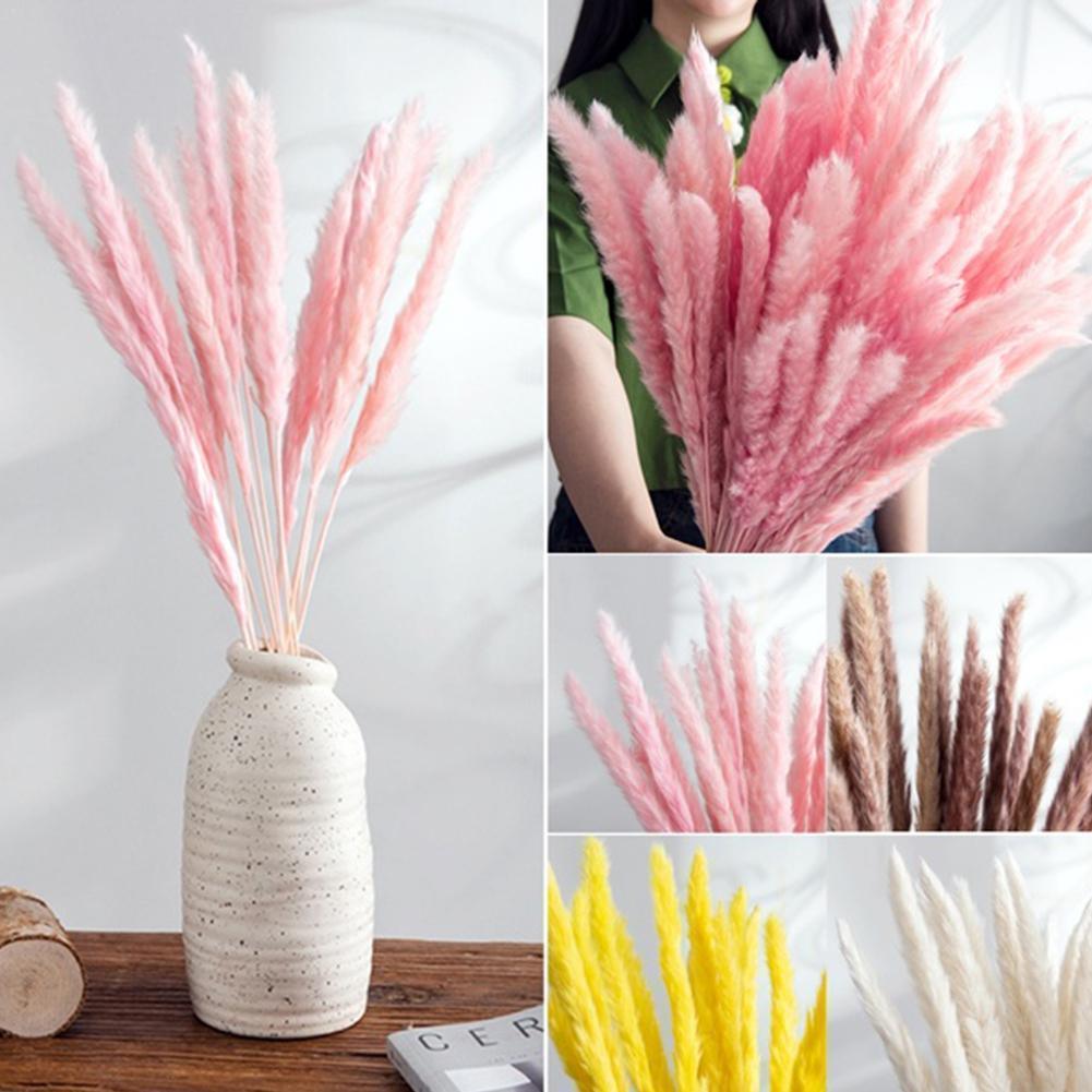 Dried Pampas Reed Bouquet